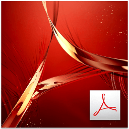 Adobe Acrobat Reader DC v2025.001.20937